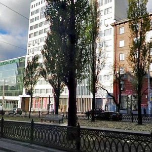 Tarasa Shevchenka Boulevard, 60, Kyiv: photo