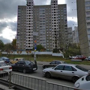 Vadyma Hetmana Street, 46, Kyiv: photo