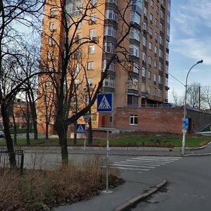 Vasylia Tiutiunnyka Street, 16, Kyiv: photo