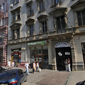 Vulytsia Sichovykh Striltsiv, 13, Lviv: photo