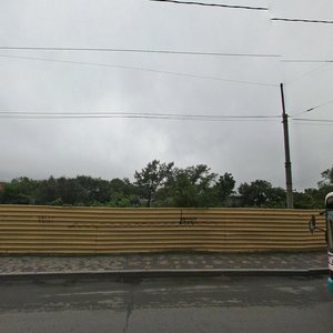 Svetlanskaya Street, 90 ، فلاديفوستوك: صورة