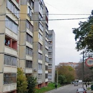 Vulytsia Mykhaila Hrushevskoho, 6 ، : صورة