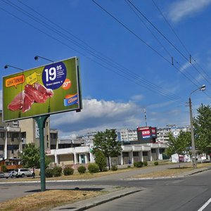 Volodymyra Maiakovskoho Avenue, 15, Kyiv: photo