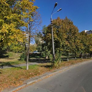 Natalii Uzhvii Street, 12, Kyiv: photo