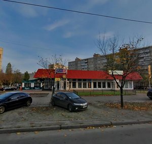 Heroiv Stalinhrada Avenue, 34, Kyiv: photo