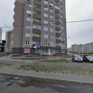 Mykoly Lavrukhina Street, 6, Kyiv: photo