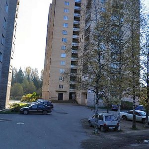 Zarechnaya ulitsa, 1, Sertolovo: photo