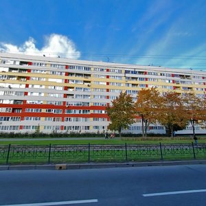 Veteranov Avenue, 139к1, Saint Petersburg: photo