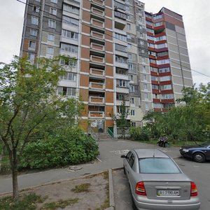 Leonida Bykova Boulevard, 9/48, Kyiv: photo