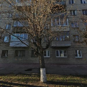 Turgenevskaya Street, 12, Tula: photo