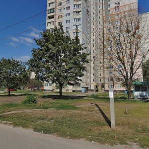 Vulytsia Tankopiia, 7, : foto