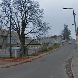 Polova Street, 49А, Kyiv: photo