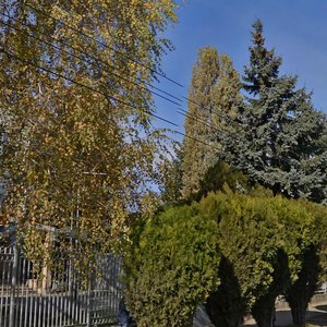 40 let Oktyabrya Avenue, 52, Pyatigorsk: photo