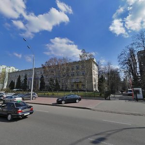 Vasylkivska Street, 31/17, Kyiv: photo