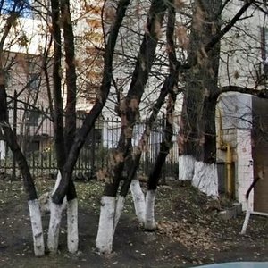Tatarska Street, 9 ، كييف: صورة