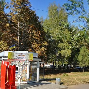 Vulytsia Petrovskoho, 252, Donetsk: photo