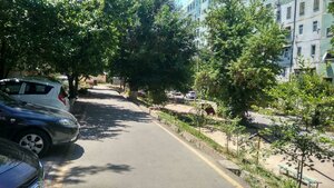2-mavze, 8 ، طشقند: صورة