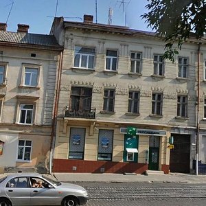 Horodotska vulytsia, 101, Lviv: photo