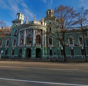 Mykhaila Omelianovycha-Pavlenka Street, 9, Kyiv: photo