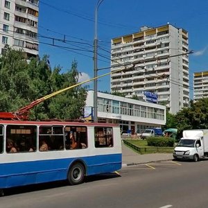 Michurinsky Avenue, 54А, Moscow: photo