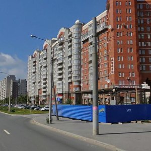 Bogatyrskiy Avenue, 25к1, Saint Petersburg: photo