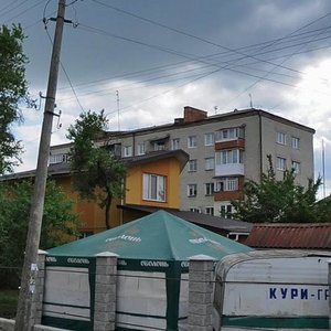 Vulytsia Tuvynskykh Dobrovoltsiv, 8 ، : صورة