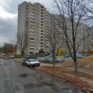 Yakuba Kolasa Street, 2, Kyiv: photo