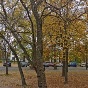 Miendzialiejeva Street, No:10, Minsk: Fotoğraflar