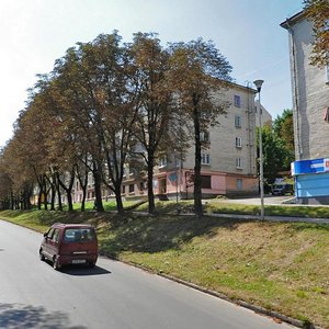 Vulytsia Druzhby, 7, Ternopil: photo