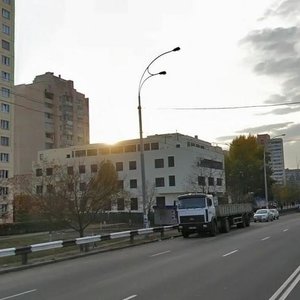 Heroiv Dnipra Street, 34, Kyiv: photo