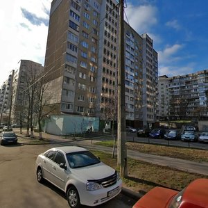 Pechenizka Street, 8, Kyiv: photo