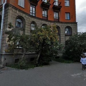 Bolshaya Zelenina Street, 20, Saint Petersburg: photo