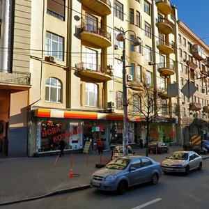 Velyka Vasylkivska Street, 27, Kyiv: photo