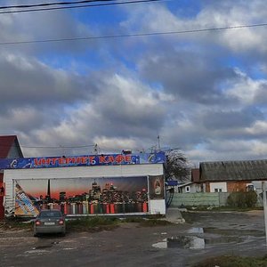 Tikhmyanova Street, 36, Tula: photo