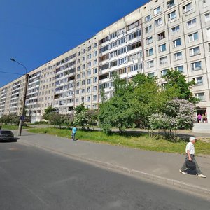 Nastavnikov Avenue, 45к1, Saint Petersburg: photo