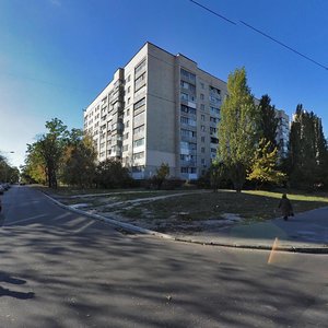 Svyatoshinska Street, 6, Kyiv: photo
