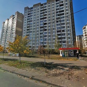 Onore De Balzaka Street, 63, Kyiv: photo