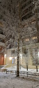 Budapeshtskaya Street, 99 ، سان بطرسبرغ: صورة