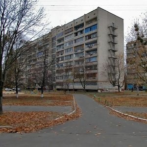 Kosmonavta Volkova Street, 18, Kyiv: photo