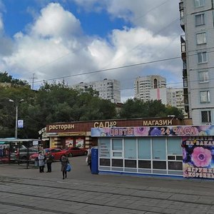 Zoi i Aleksandra Kosmodemyanskikh Street, 11с1, Moscow: photo