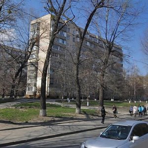 Vasylkivska Street, 38, Kyiv: photo