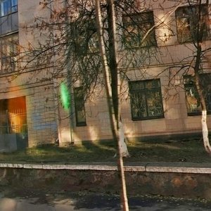 Velyka Vasylkivska Street, 73 ، كييف: صورة