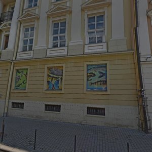 Teatralna vulytsia, No:18, Lviv: Fotoğraflar