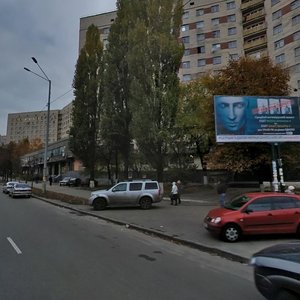 Borschahivska Street, 144, Kyiv: photo