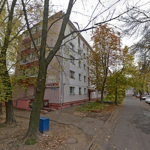 Miendzialiejeva Street, 9, Minsk: photo