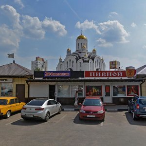 Vladimira Nevskogo Street, 48З, Voronezh: photo