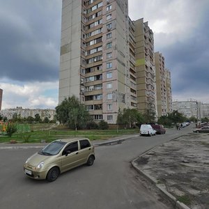 Oleksandra Koshytsia Street, 9, Kyiv: photo