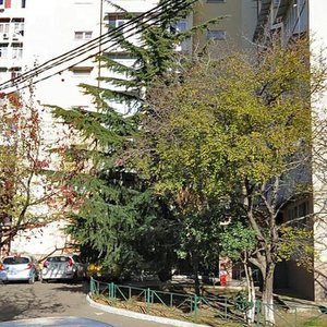 Golubiye Dali Street, 58, Sochi: photo