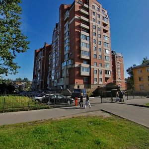 Tankista Khrustitskogo Street, 62, Saint Petersburg: photo