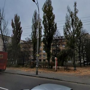 Akademika Zabolotnoho Street, 136, Kyiv: photo